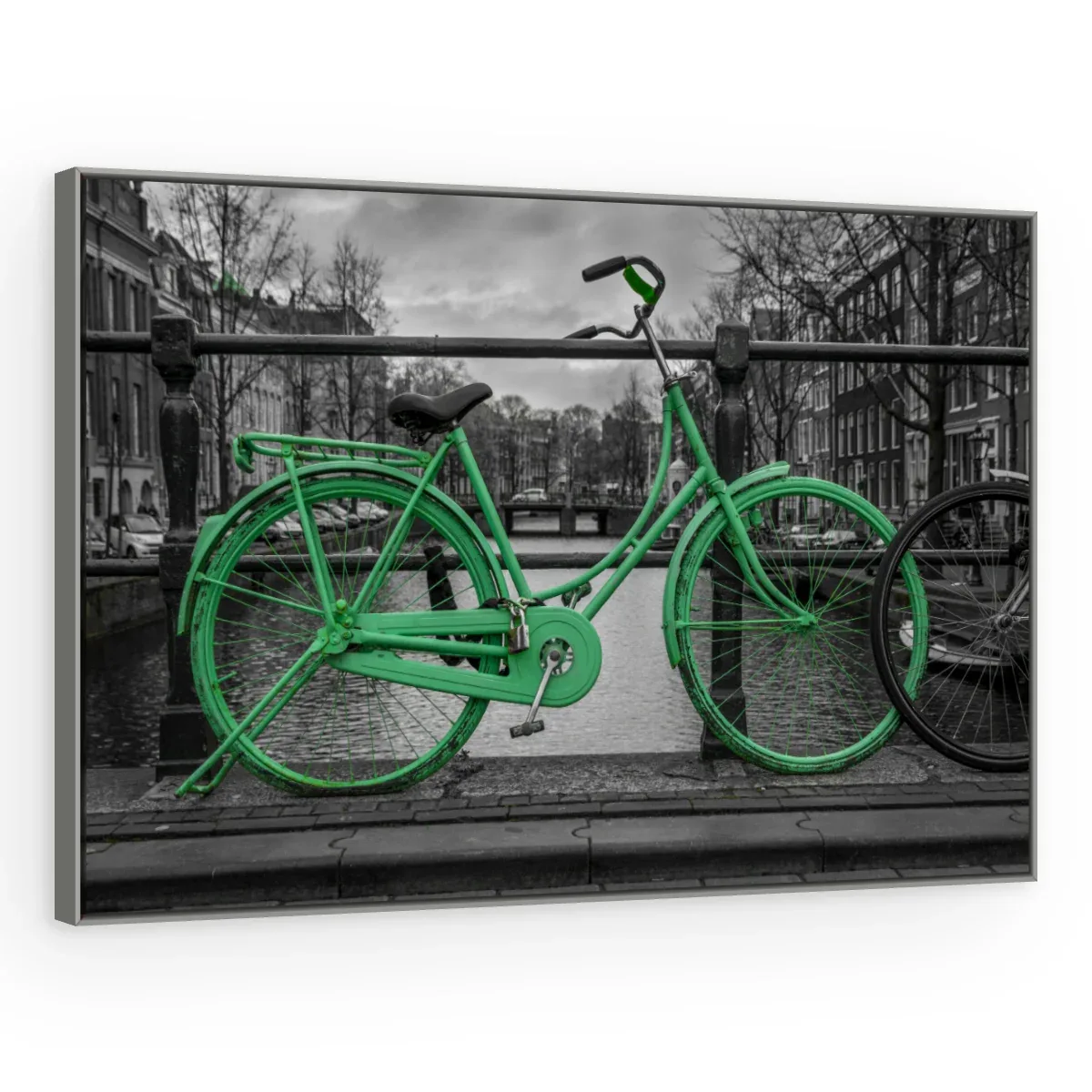 Quadro Decorativo Canvas Bicicleta Verde - CI0072