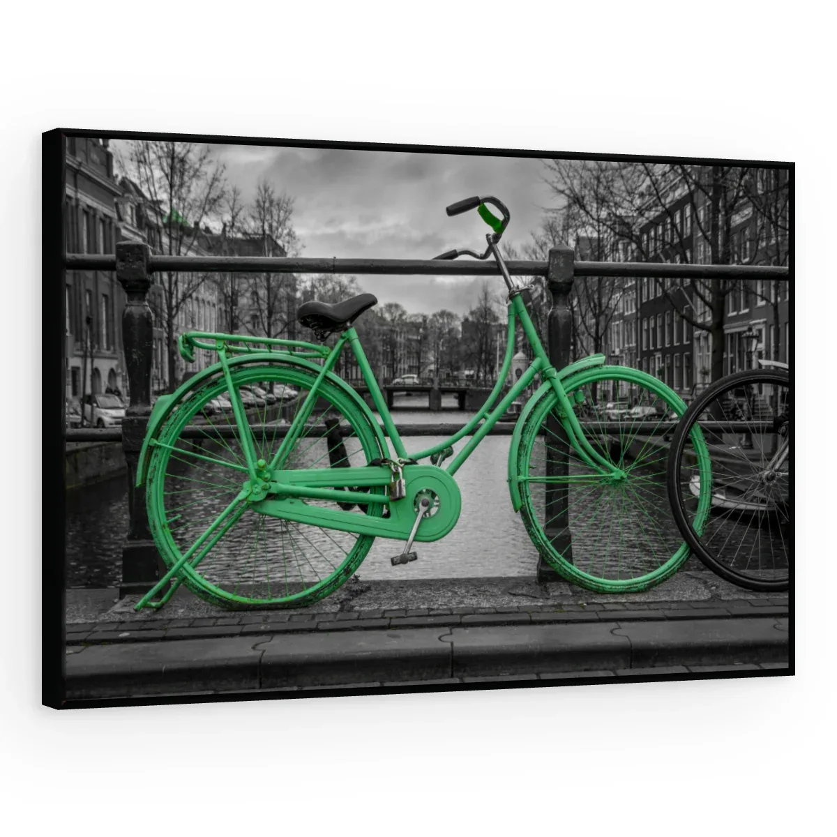Quadro Decorativo Canvas Bicicleta Verde - CI0072