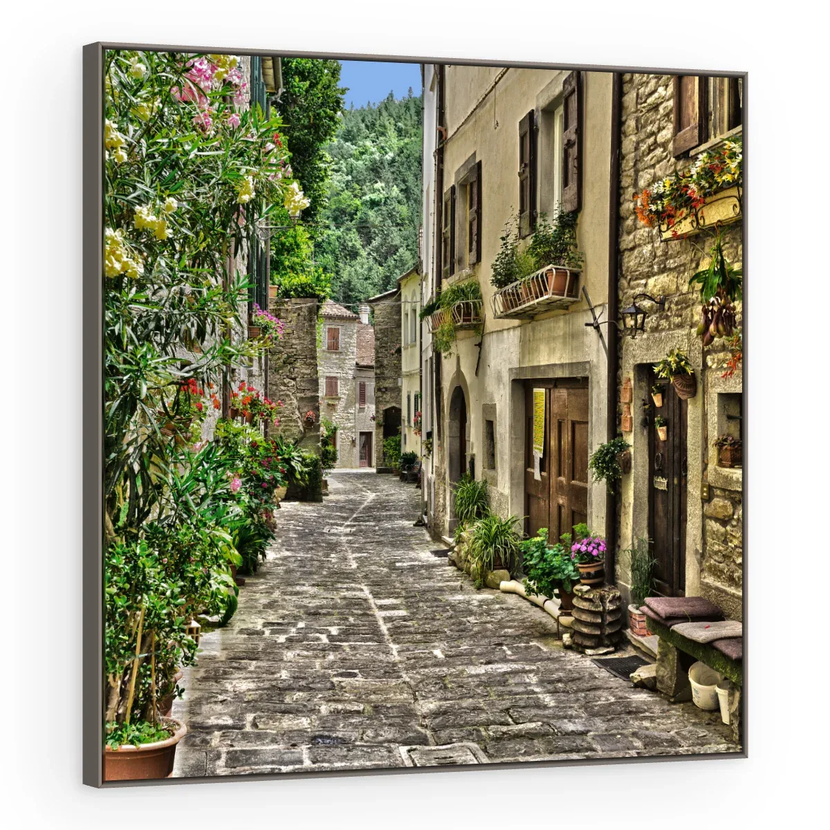 Quadro Decorativo Canvas Viela Florida - CI0130