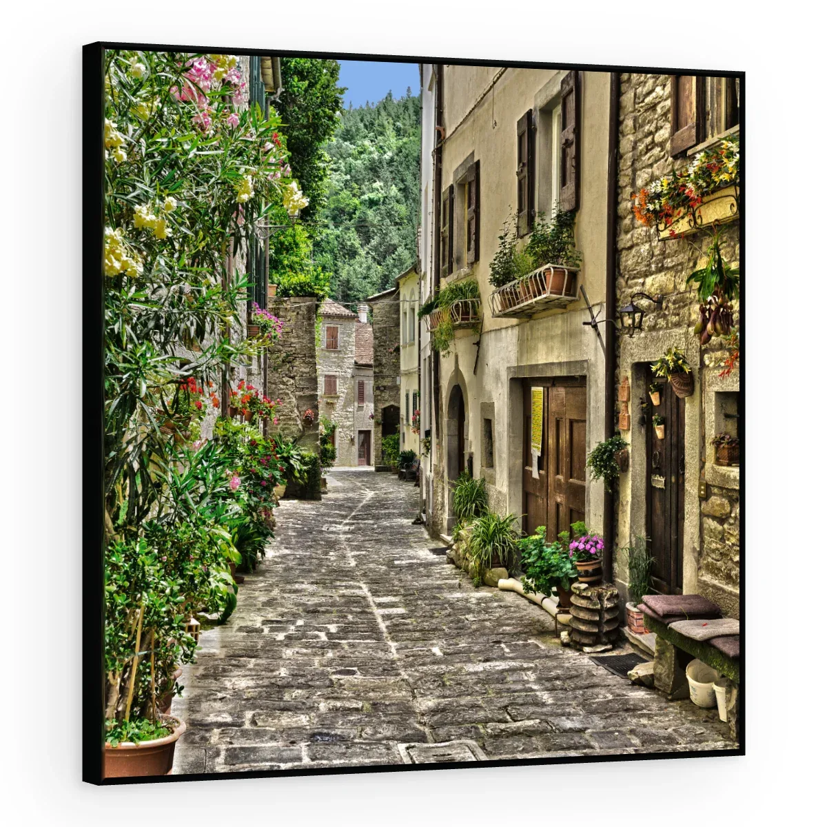 Quadro Decorativo Canvas Viela Florida - CI0130