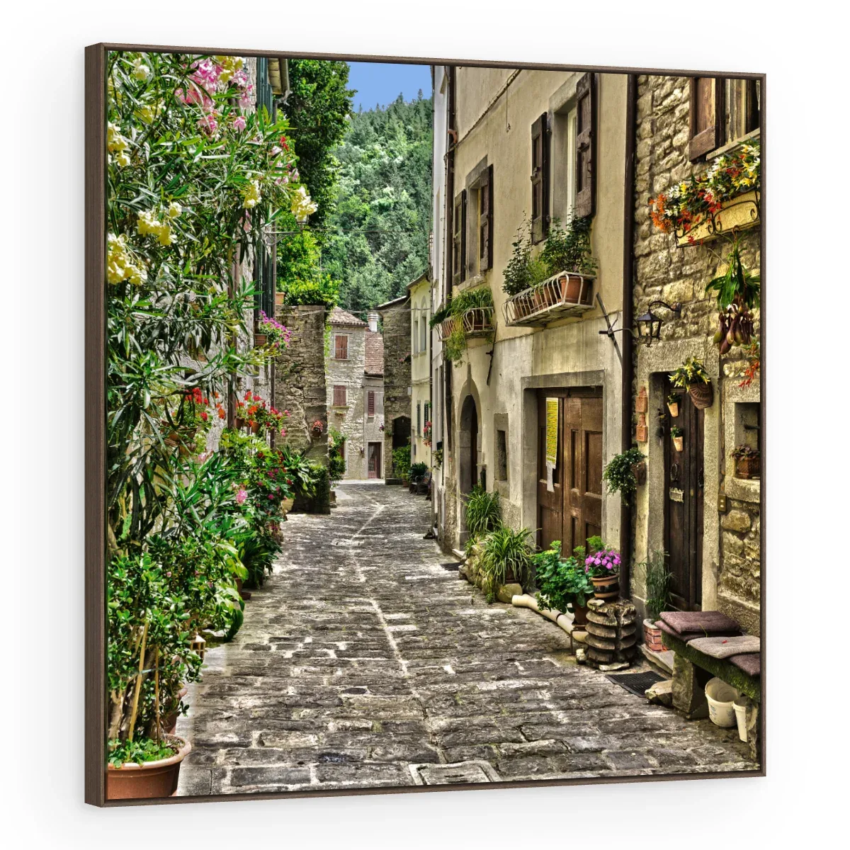 Quadro Decorativo Canvas Viela Florida - CI0130