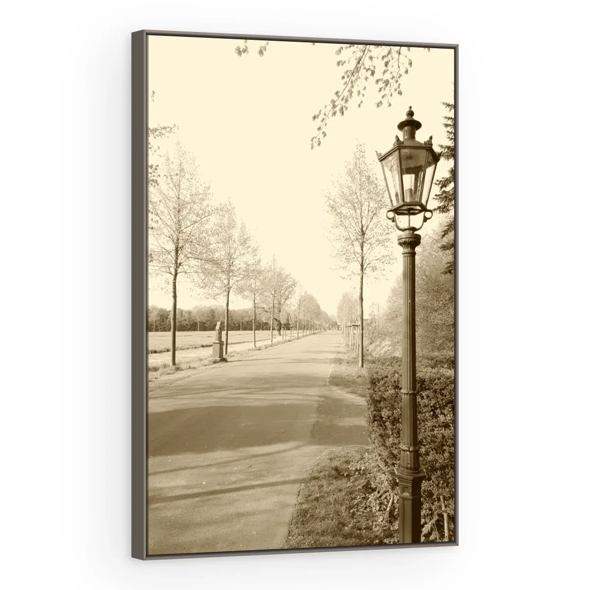 Quadro Decorativo Canvas Alameda Sépia - CI0168