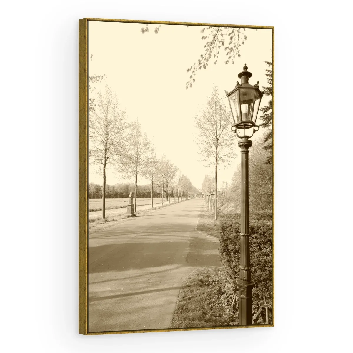 Quadro Decorativo Canvas Alameda Sépia - CI0168