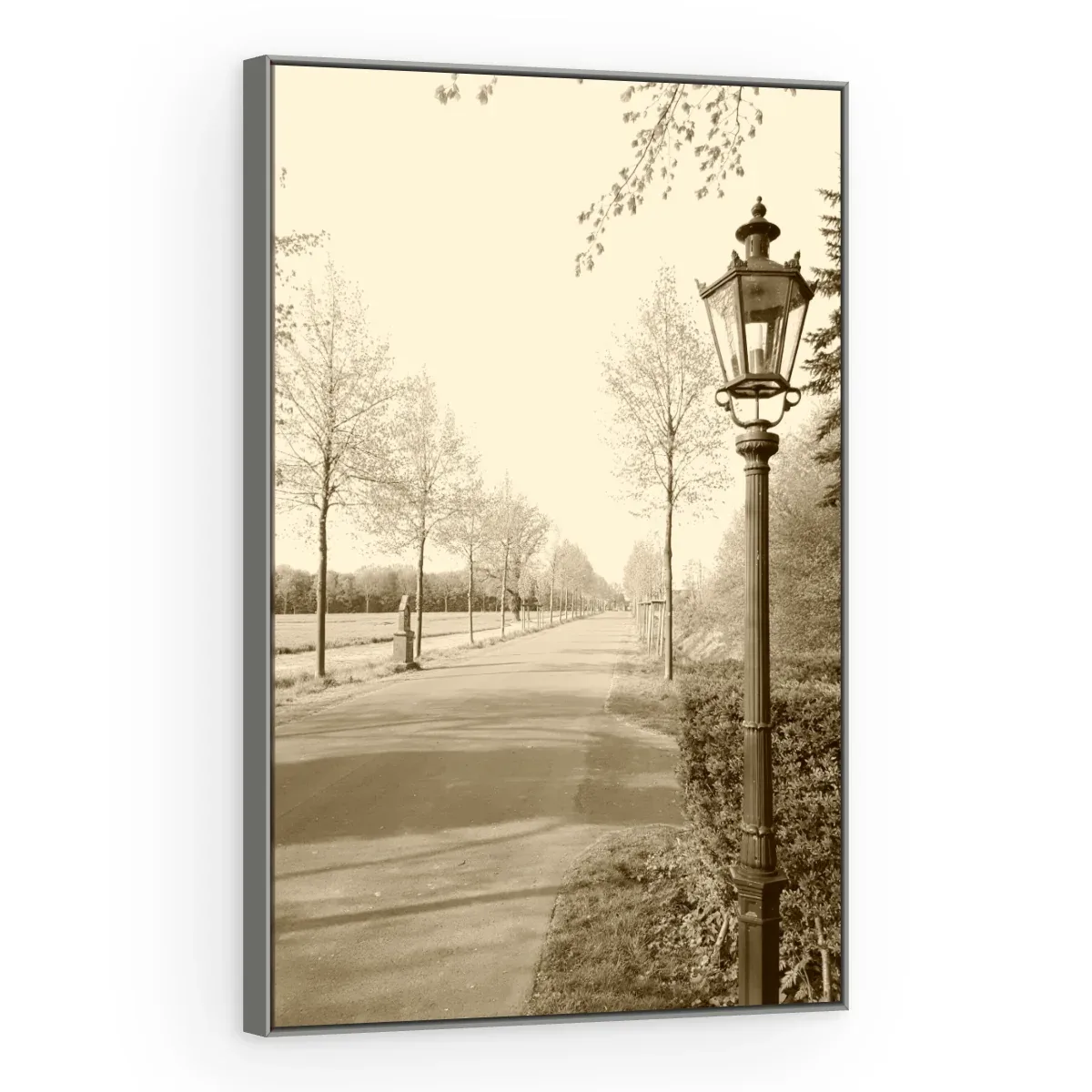 Quadro Decorativo Canvas Alameda Sépia - CI0168