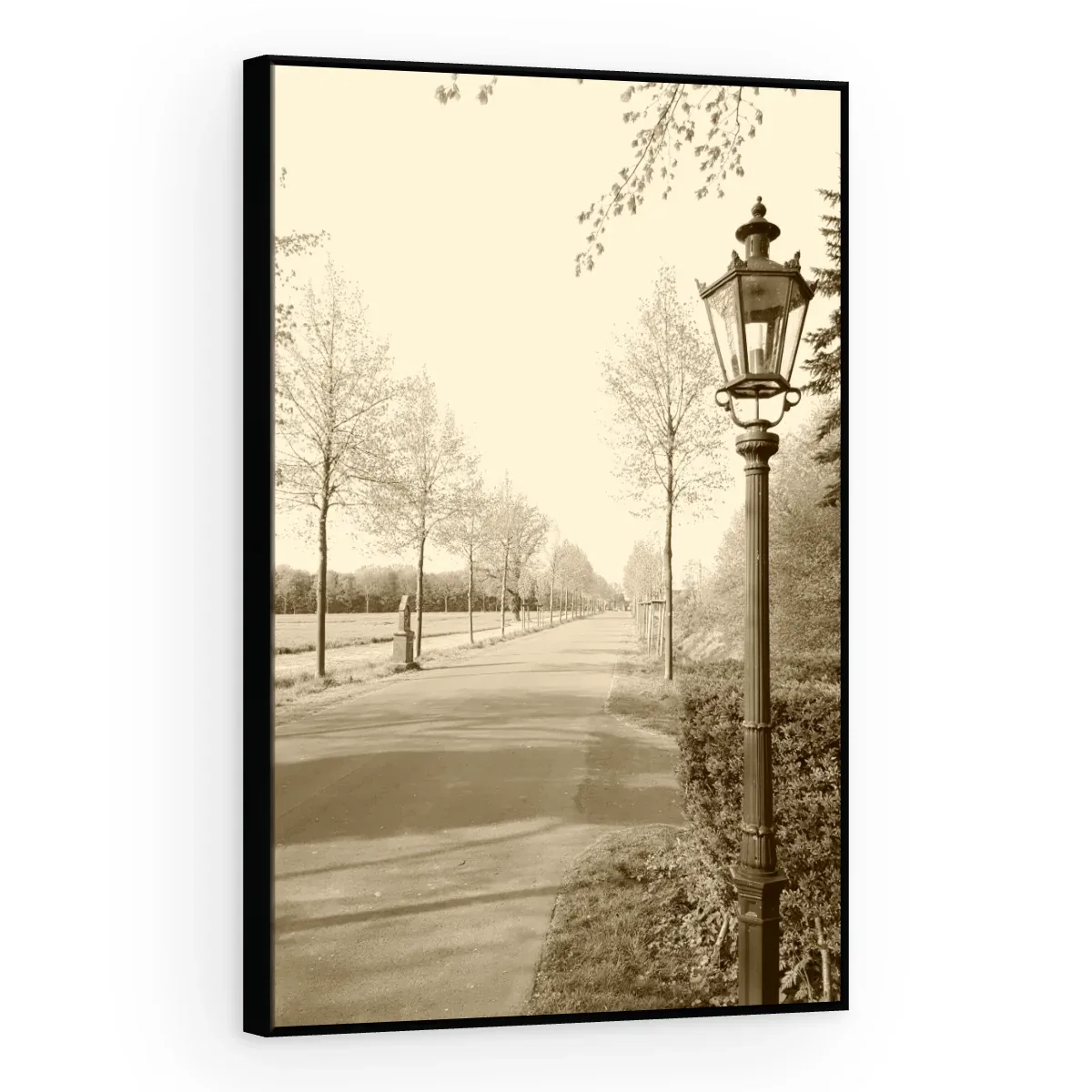 Quadro Decorativo Canvas Alameda Sépia - CI0168