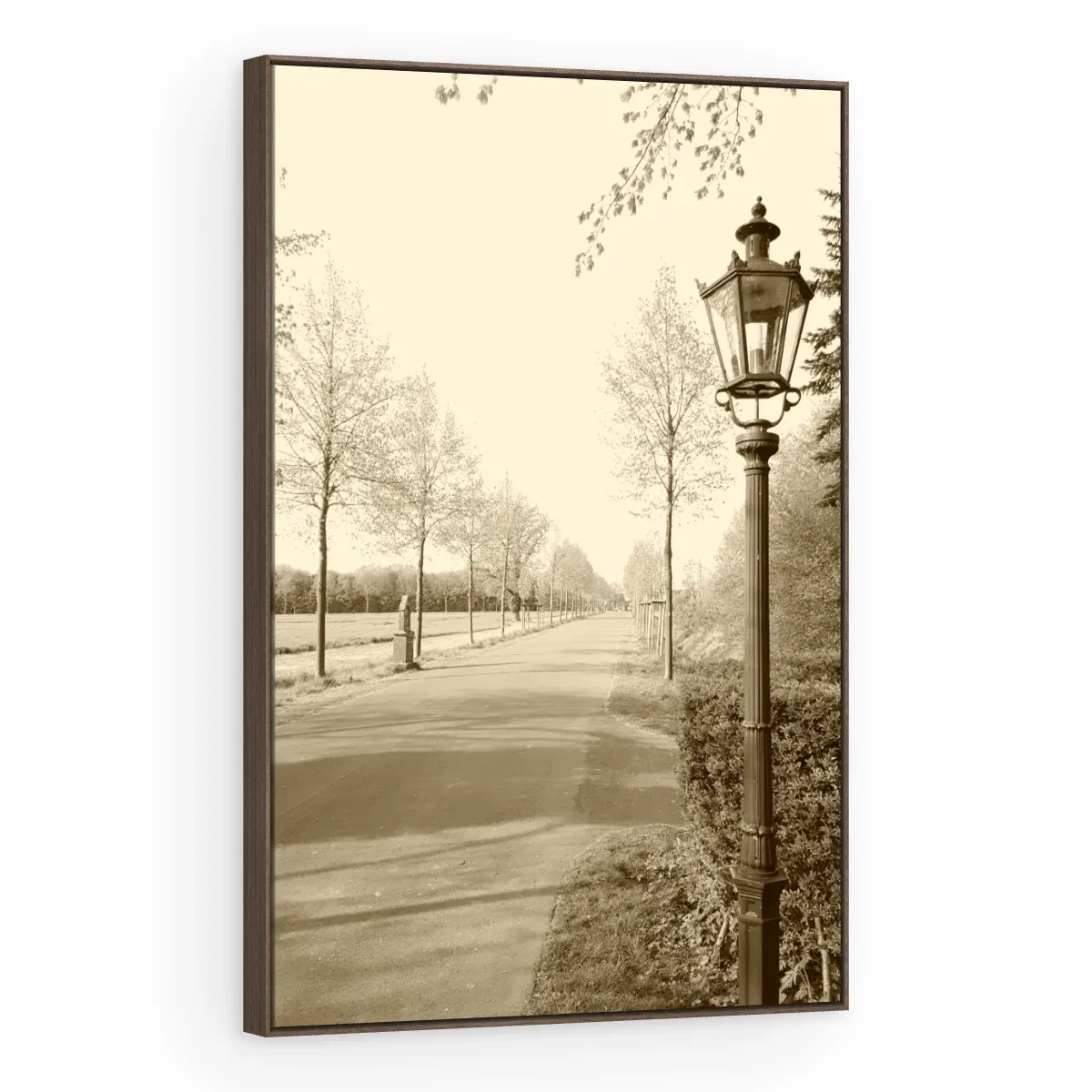 Quadro Decorativo Canvas Alameda Sépia - CI0168
