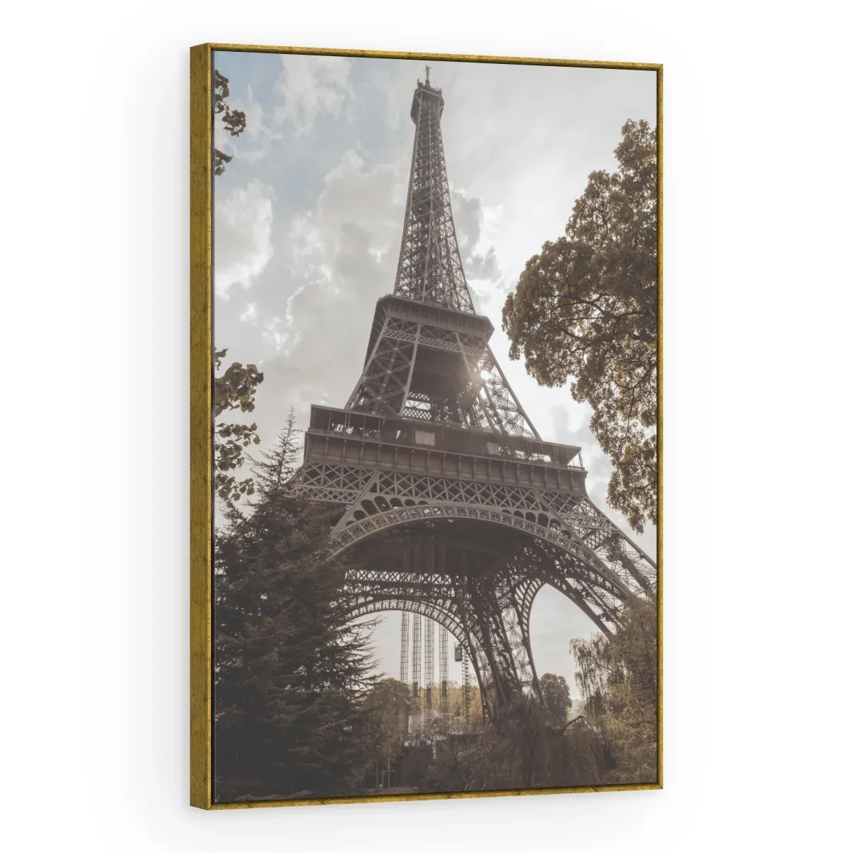 Quadro Decorativo Canvas Eiffel Arborizada - CI0196