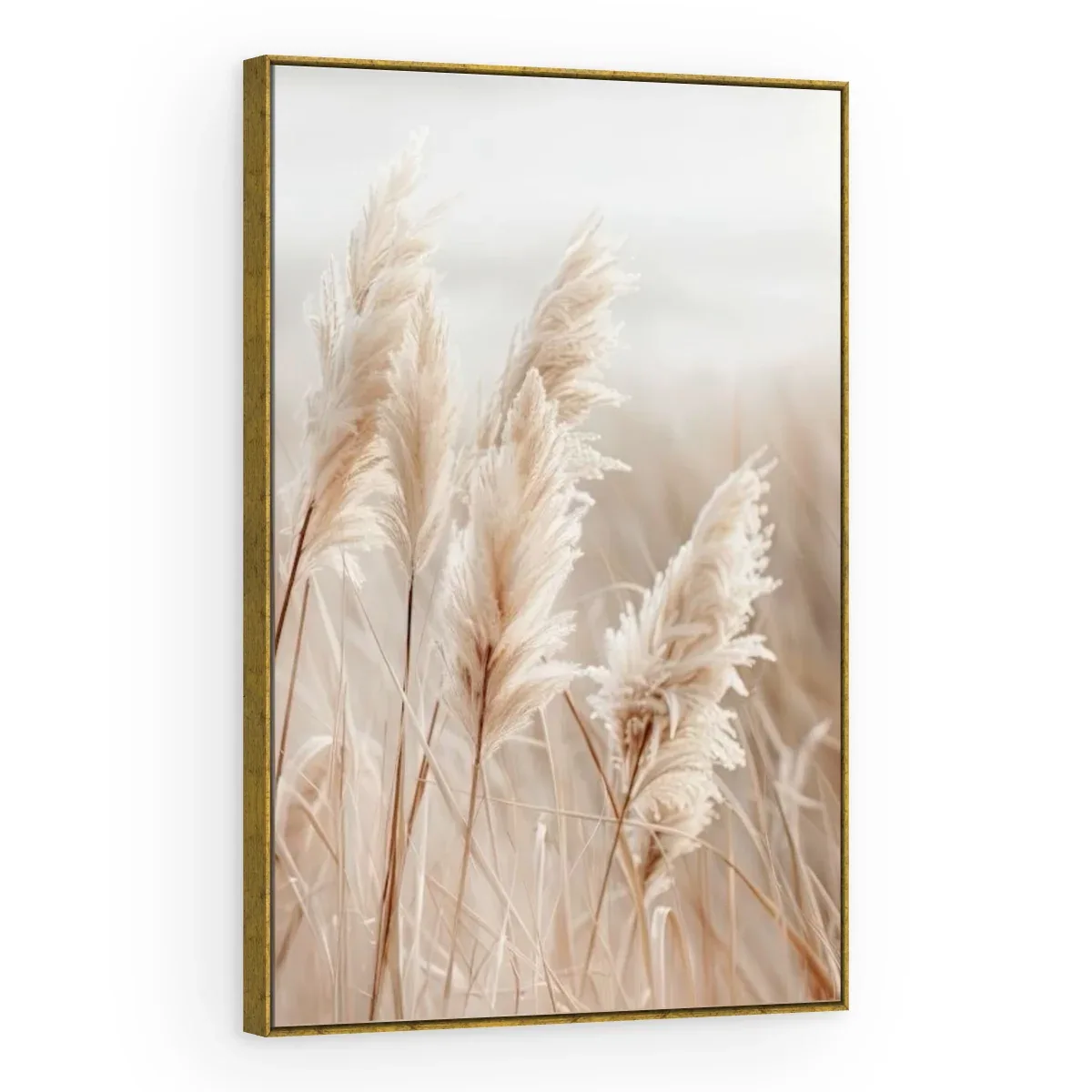 Quadro Decorativo Canvas Pampas Natural - FO0017