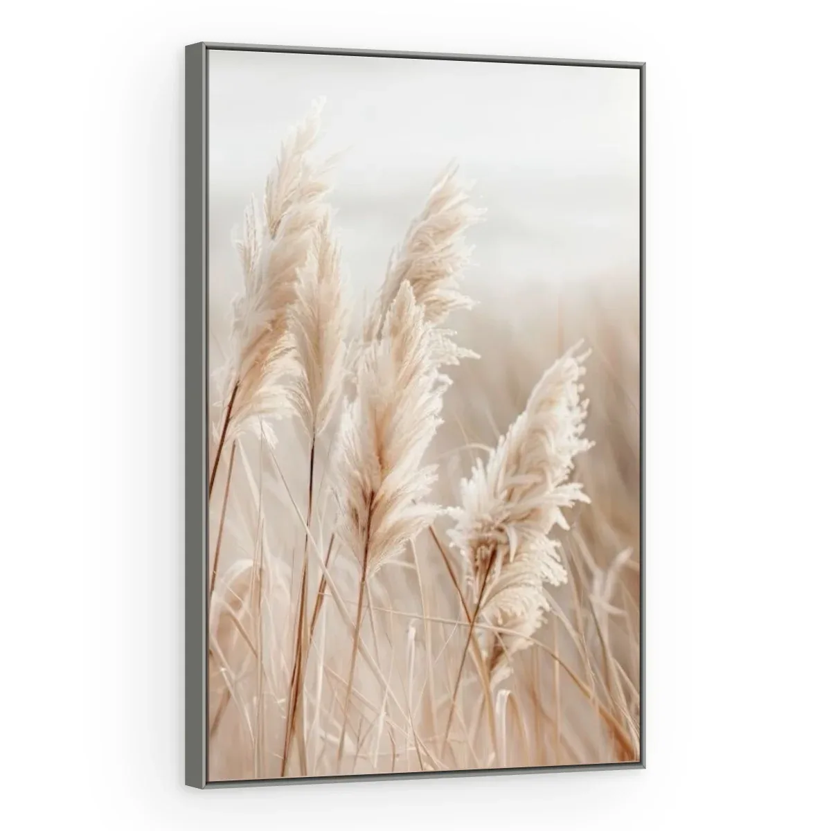 Quadro Decorativo Canvas Pampas Natural - FO0017