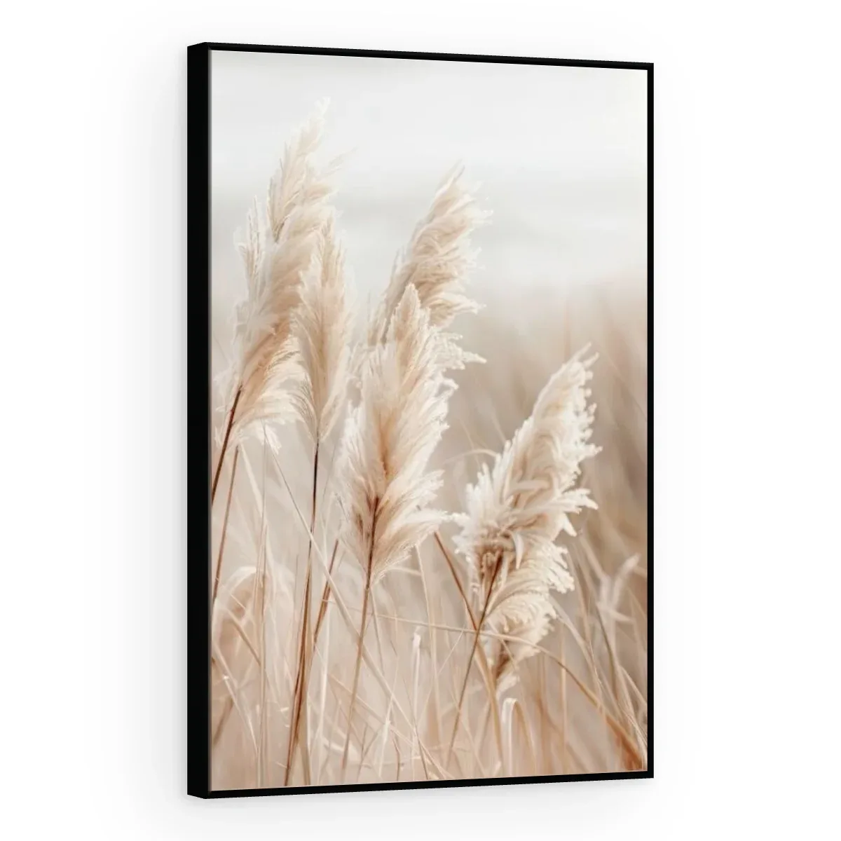 Quadro Decorativo Canvas Pampas Natural - FO0017