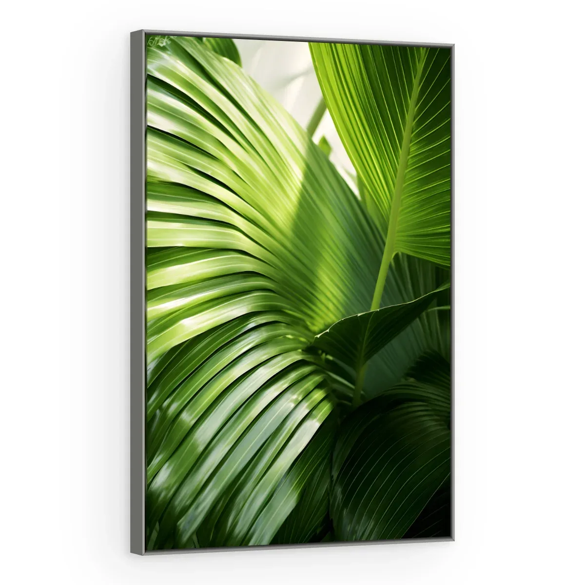 Quadro Decorativo Canvas Palmeira Tropical - FO0030