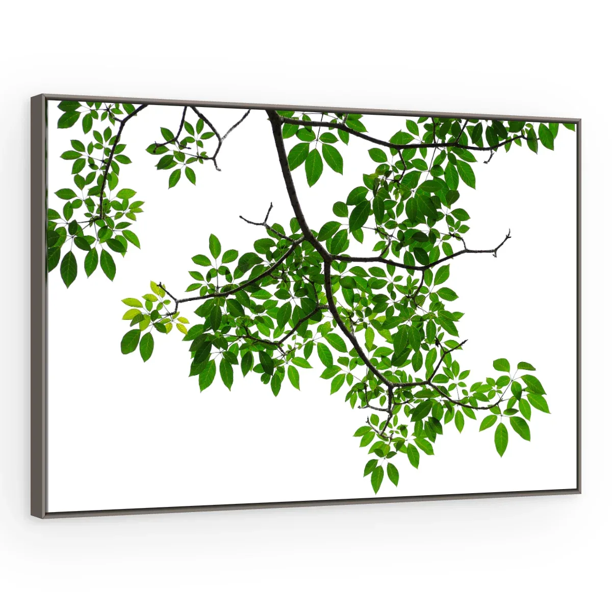 Quadro Decorativo Canvas Ramo Verdejante - FO0039