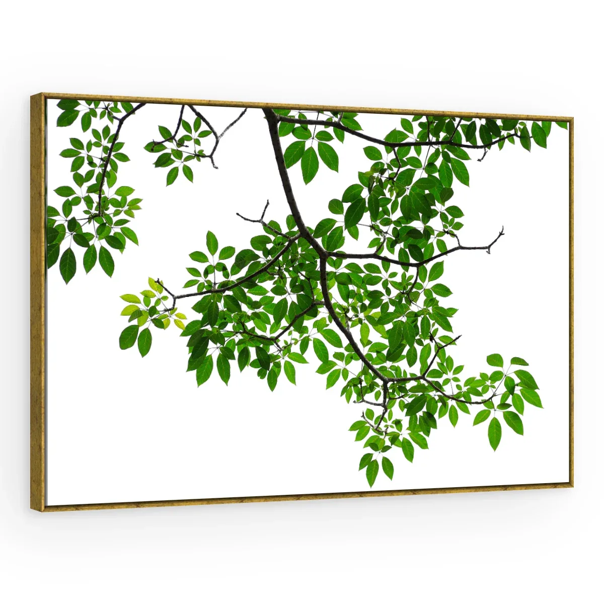 Quadro Decorativo Canvas Ramo Verdejante - FO0039