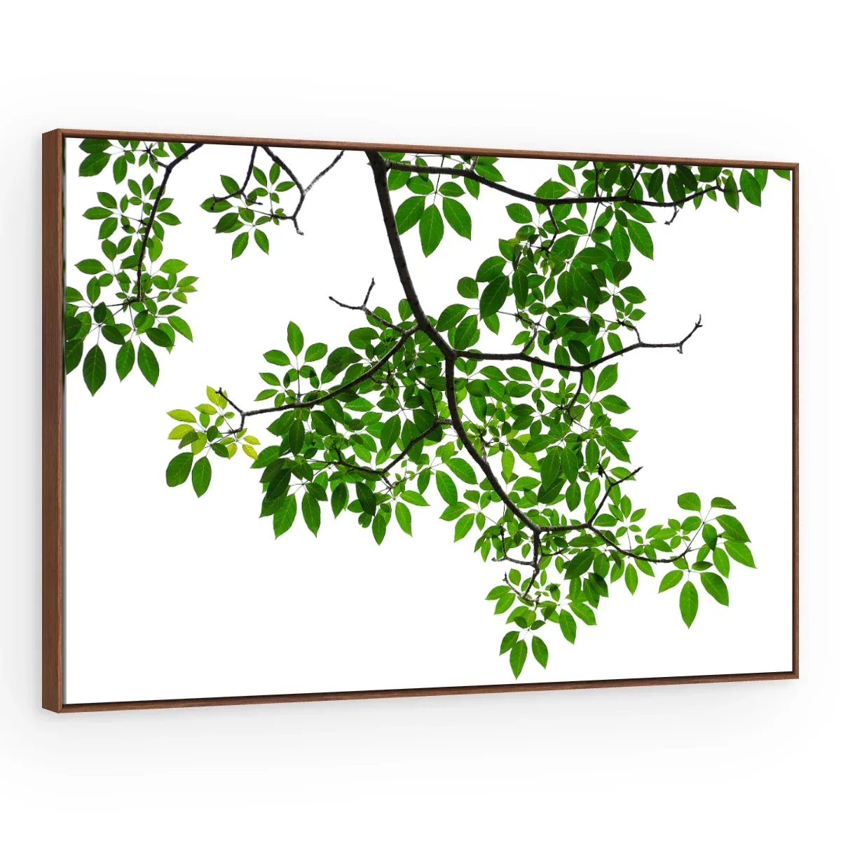 Quadro Decorativo Canvas Ramo Verdejante - FO0039