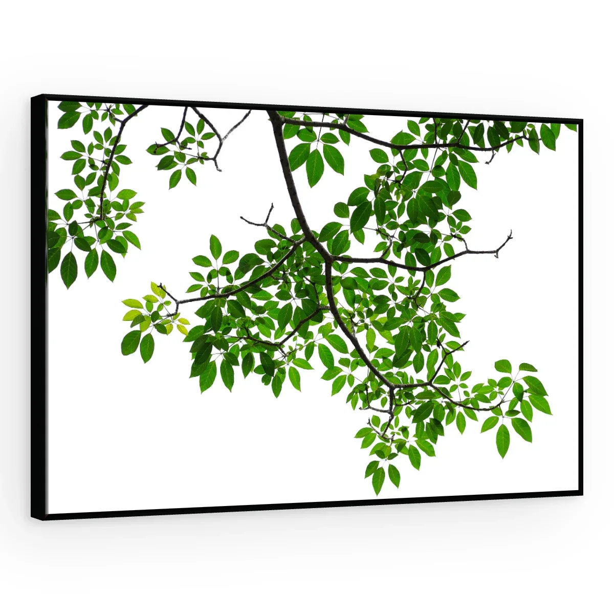 Quadro Decorativo Canvas Ramo Verdejante - FO0039