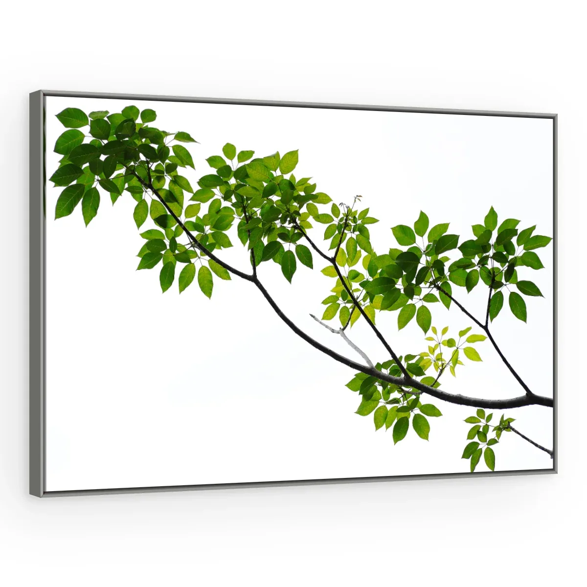 Quadro Decorativo Canvas Ramo Primaveril - FO0040