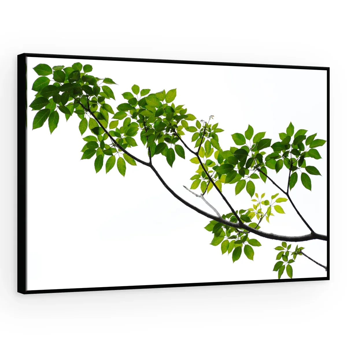 Quadro Decorativo Canvas Ramo Primaveril - FO0040