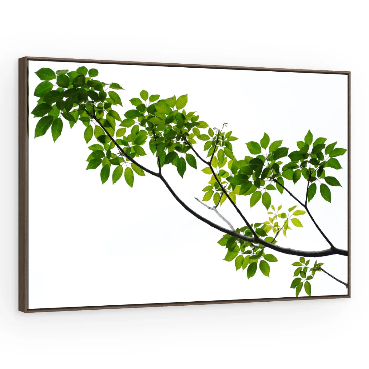 Quadro Decorativo Canvas Ramo Primaveril - FO0040