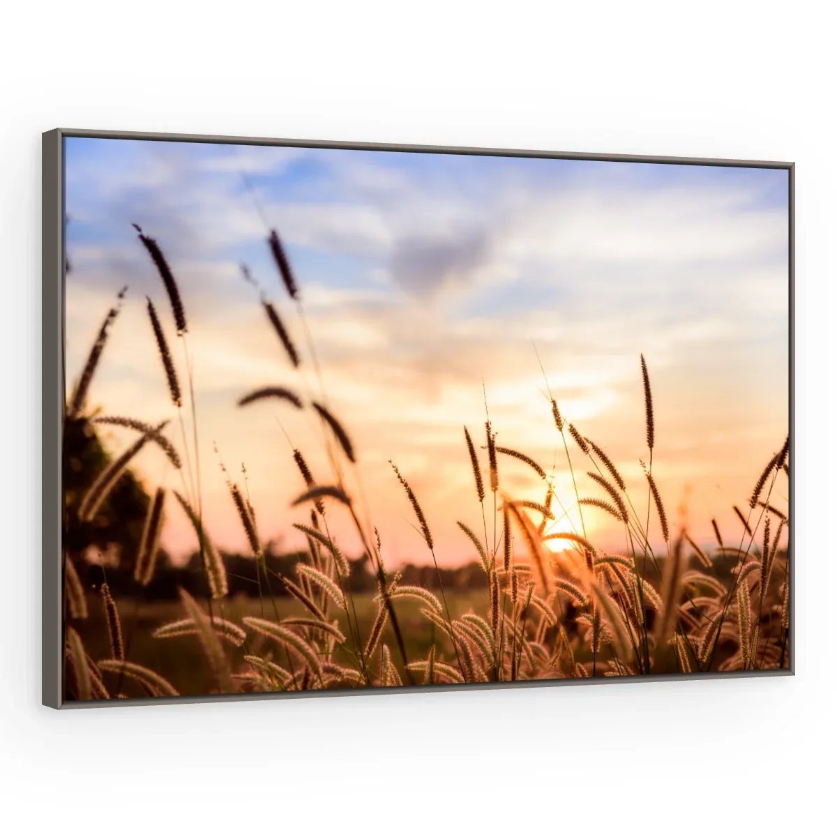 Quadro Decorativo Canvas Capim Crepuscular - FO0041
