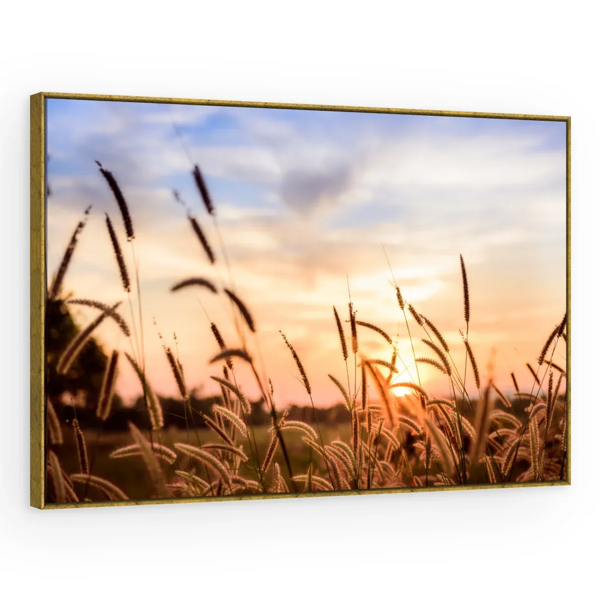 Quadro Decorativo Canvas Capim Crepuscular - FO0041