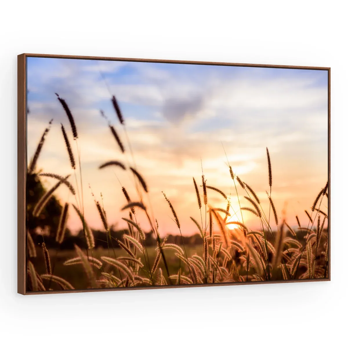 Quadro Decorativo Canvas Capim Crepuscular - FO0041
