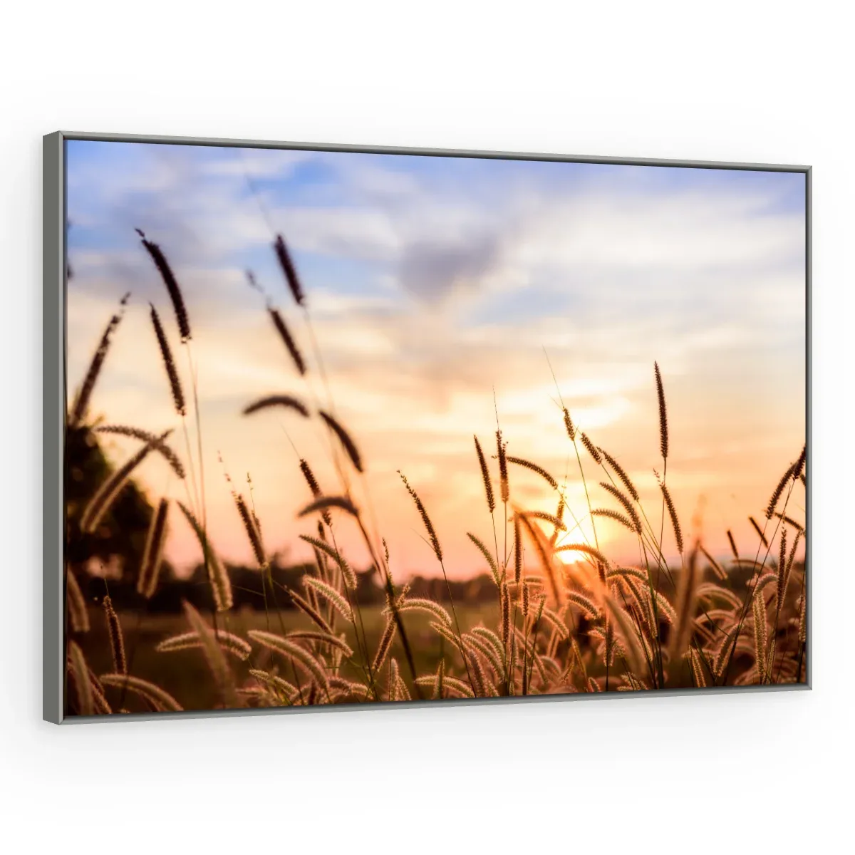 Quadro Decorativo Canvas Capim Crepuscular - FO0041