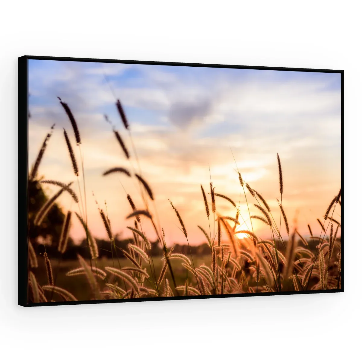 Quadro Decorativo Canvas Capim Crepuscular - FO0041