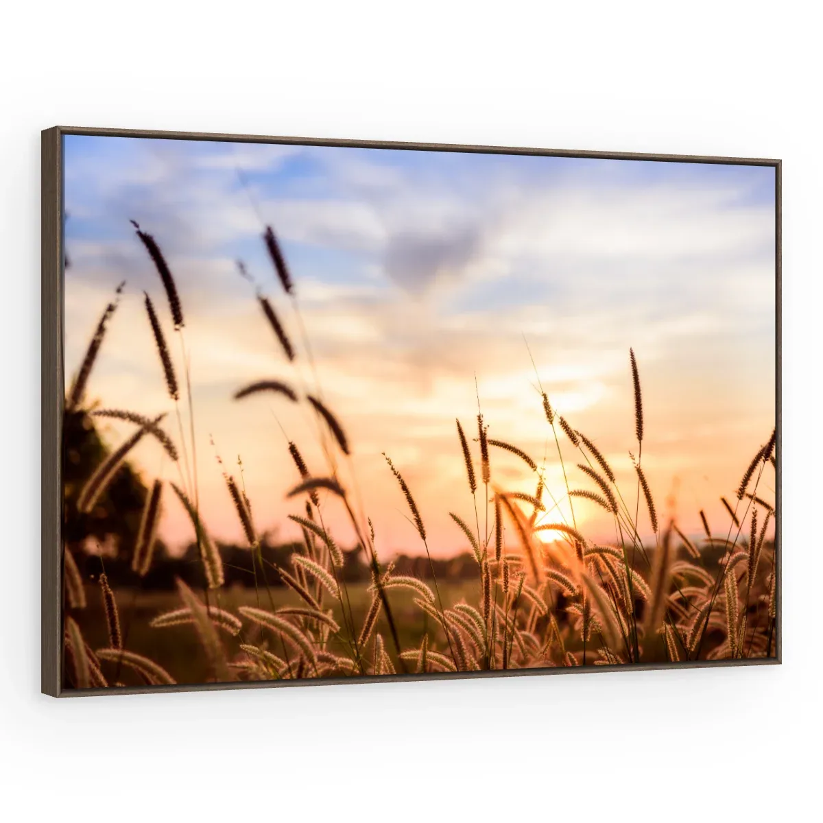 Quadro Decorativo Canvas Capim Crepuscular - FO0041