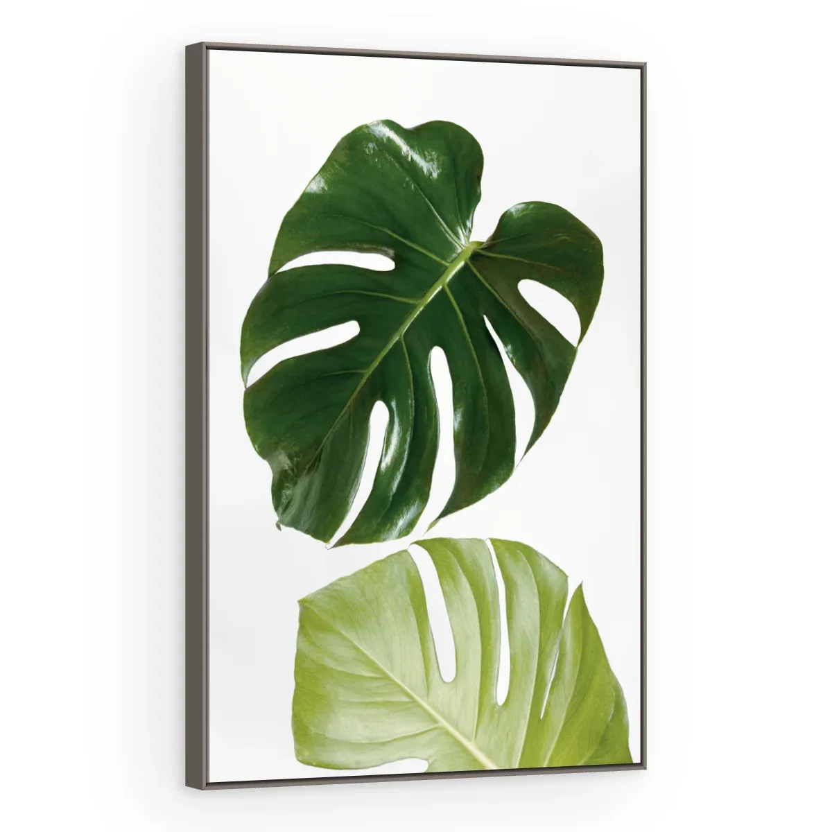Quadro Decorativo Canvas Monstera Minimalista - FO0042