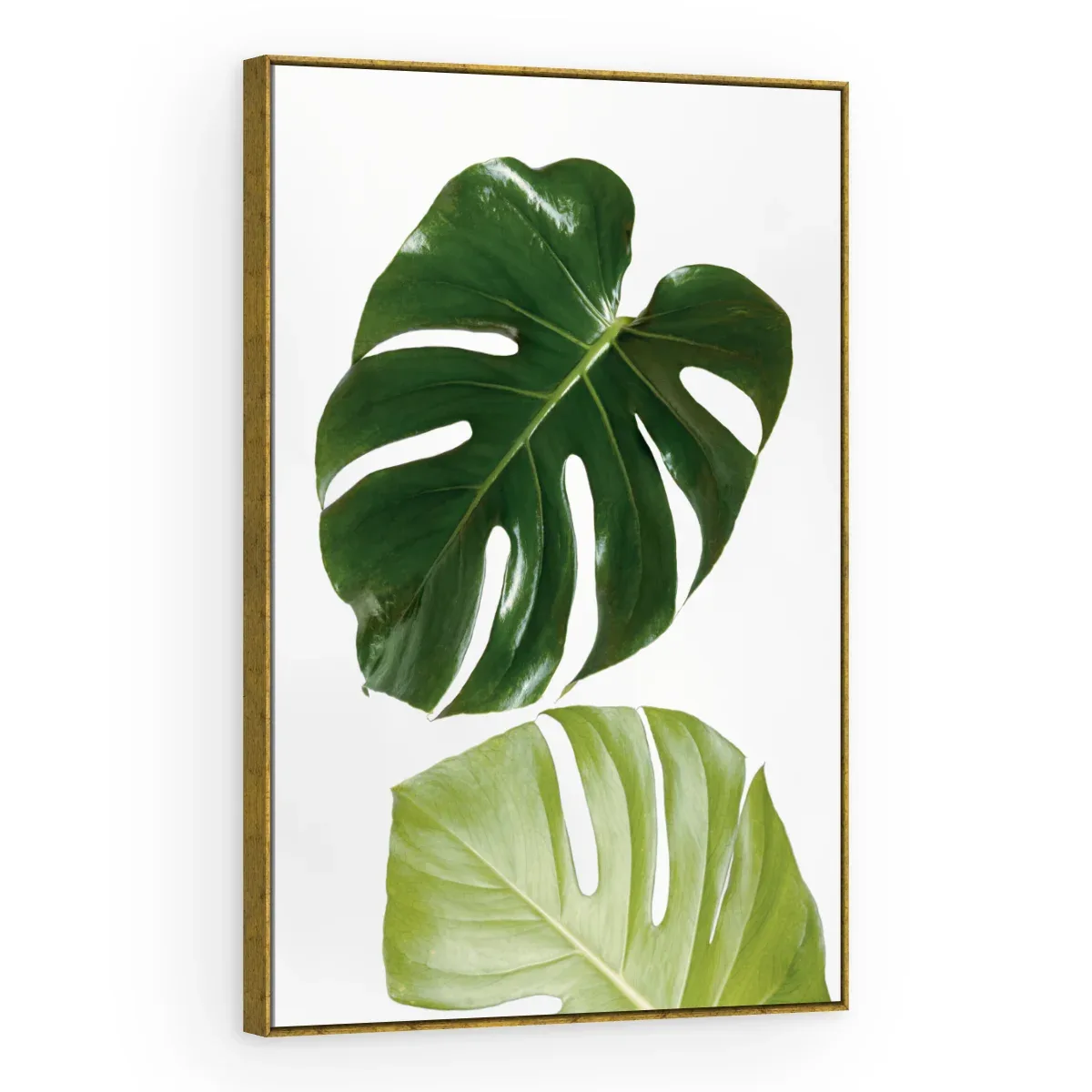 Quadro Decorativo Canvas Monstera Minimalista - FO0042