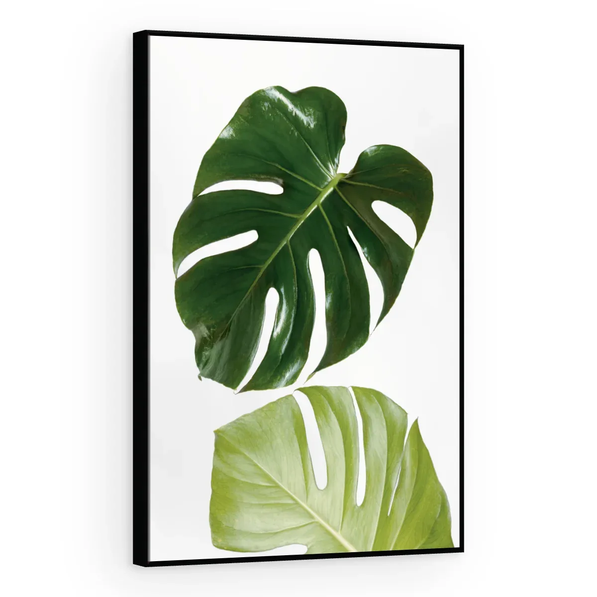 Quadro Decorativo Canvas Monstera Minimalista - FO0042