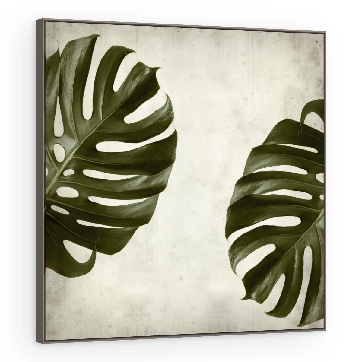 Quadro Decorativo Canvas Monstera Vintage - FO0044