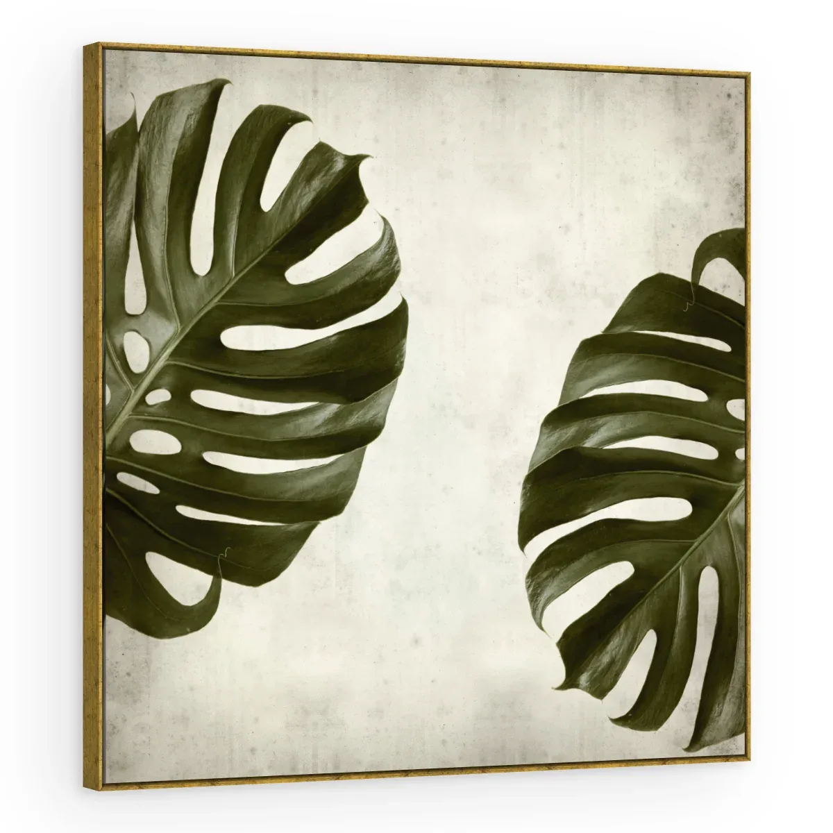 Quadro Decorativo Canvas Monstera Vintage - FO0044
