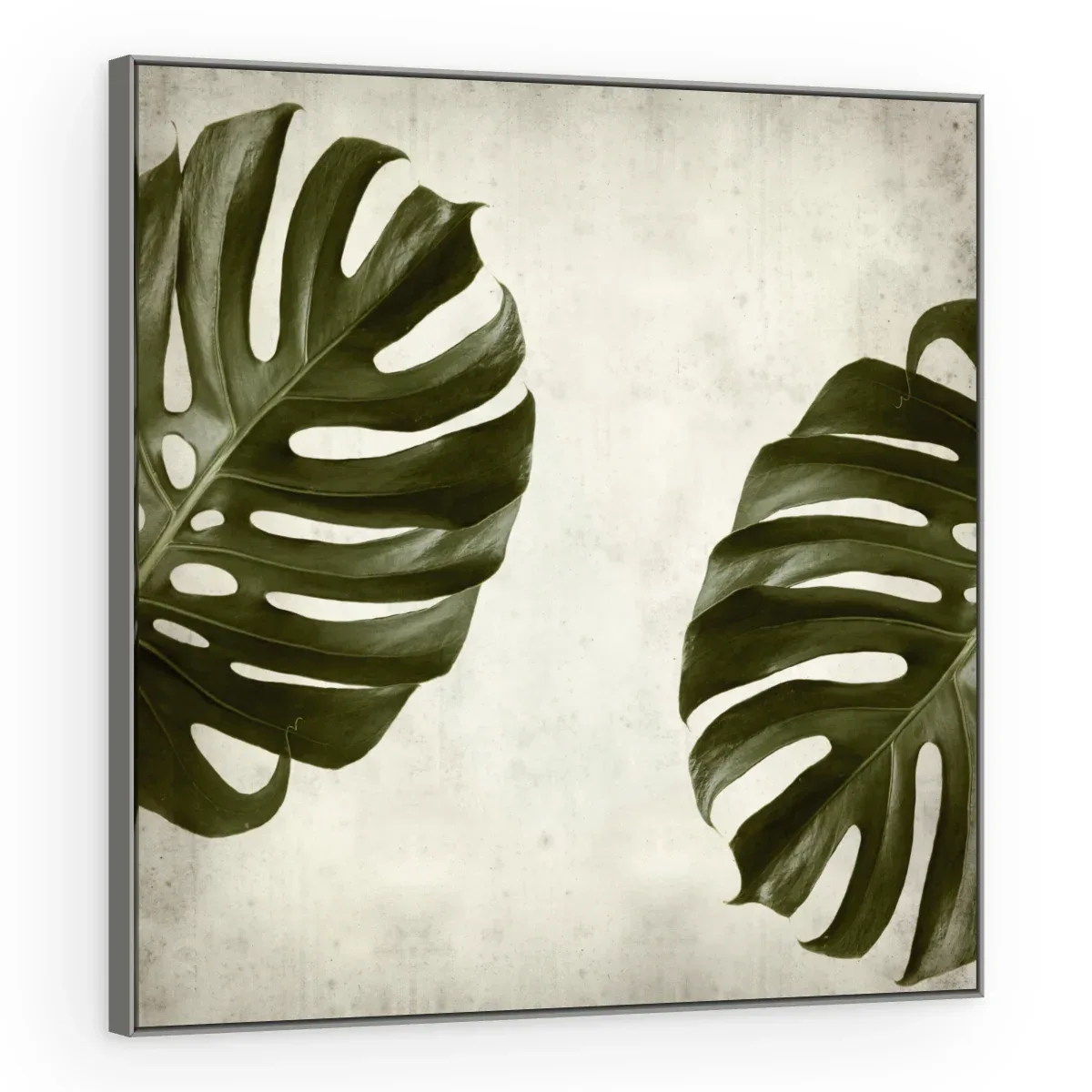 Quadro Decorativo Canvas Monstera Vintage - FO0044