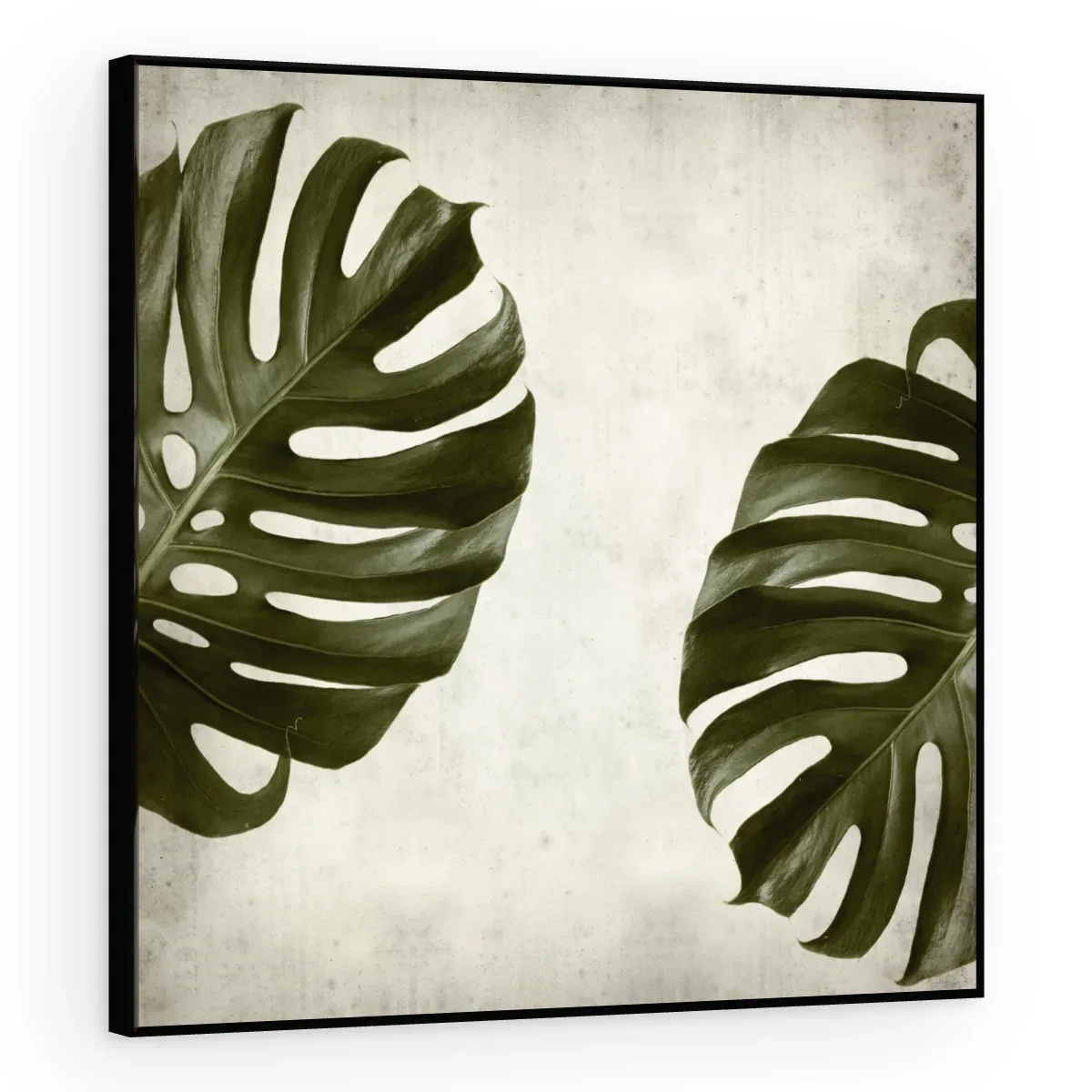 Quadro Decorativo Canvas Monstera Vintage - FO0044