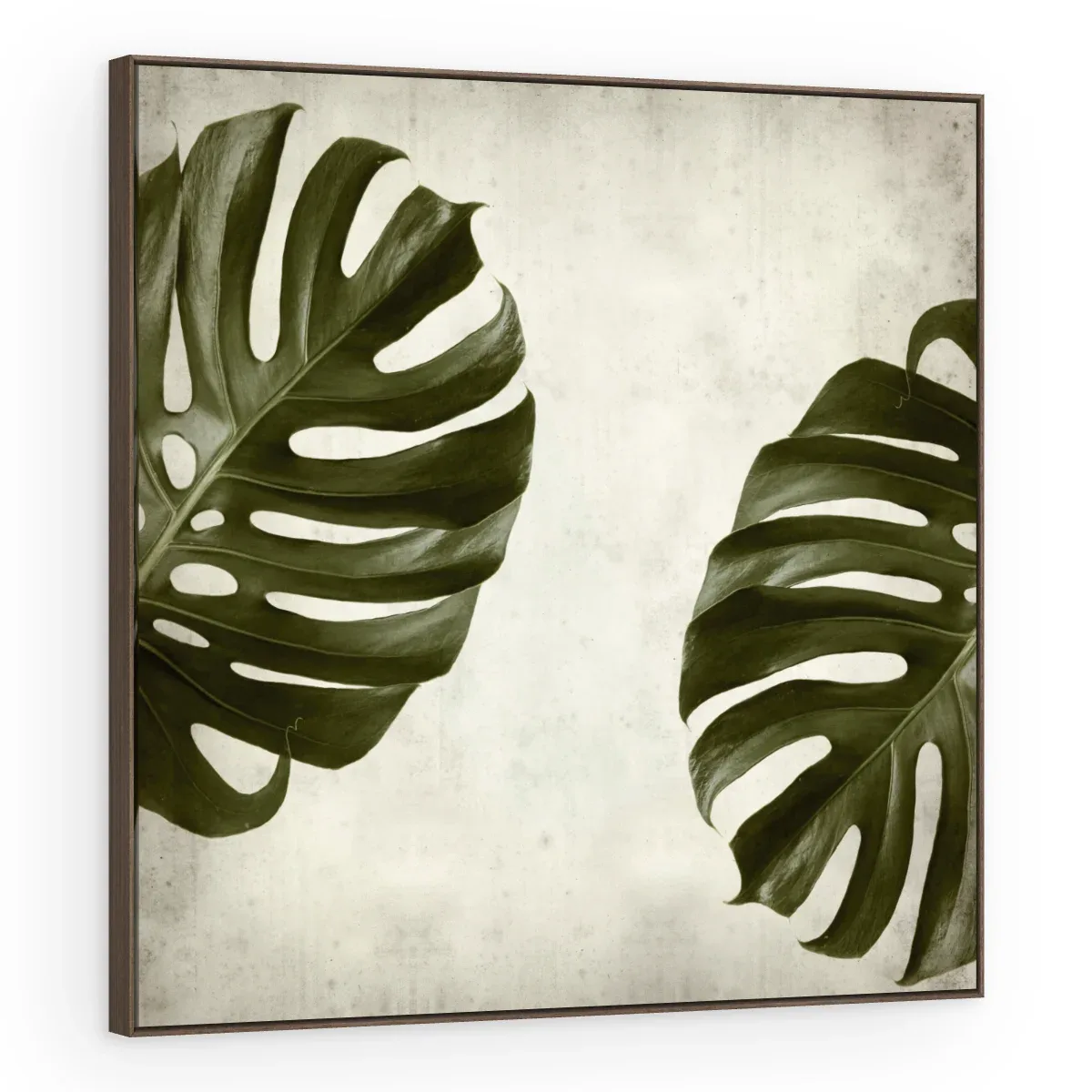Quadro Decorativo Canvas Monstera Vintage - FO0044