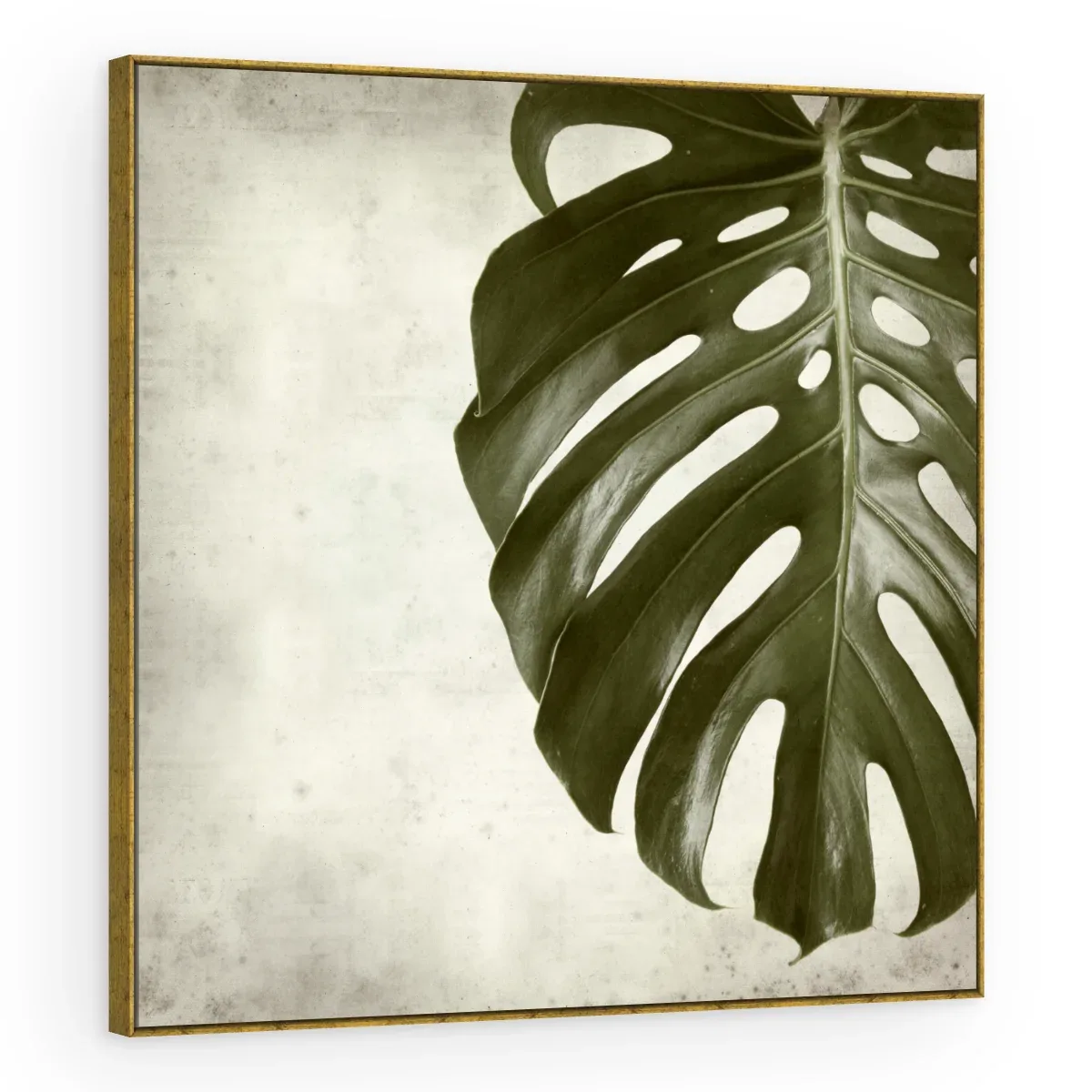 Quadro Decorativo Canvas Monstera Clássica - FO0045