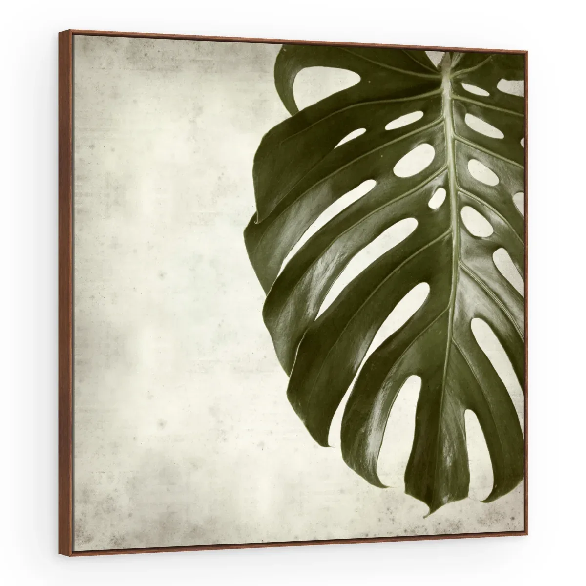 Quadro Decorativo Canvas Monstera Clássica - FO0045