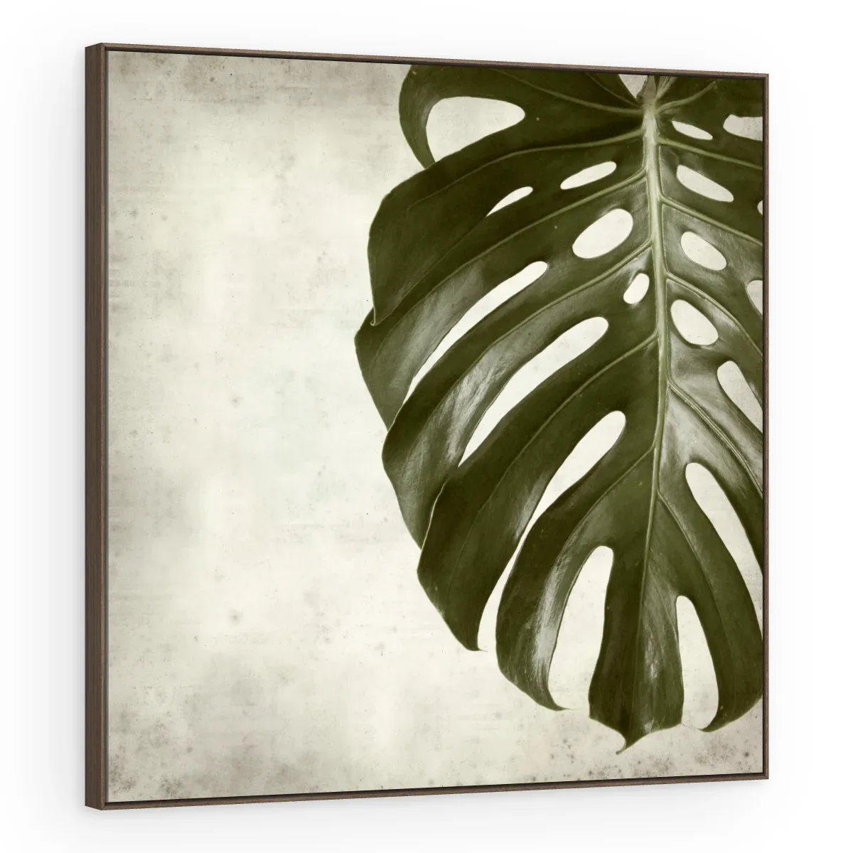 Quadro Decorativo Canvas Monstera Clássica - FO0045