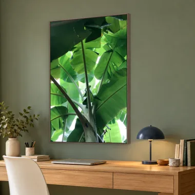 Quadro Decorativo Canvas Bananeira Tropical - FO0046