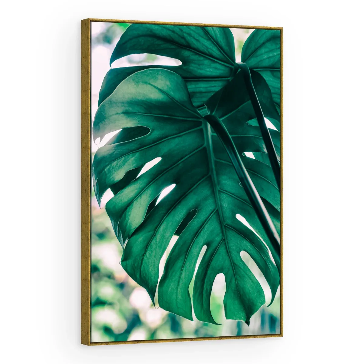 Quadro Decorativo Canvas Monstera Turquesa - FO0049