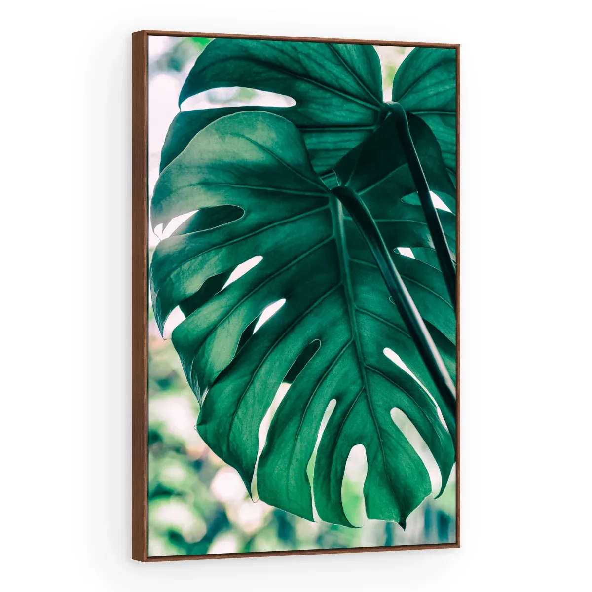 Quadro Decorativo Canvas Monstera Turquesa - FO0049