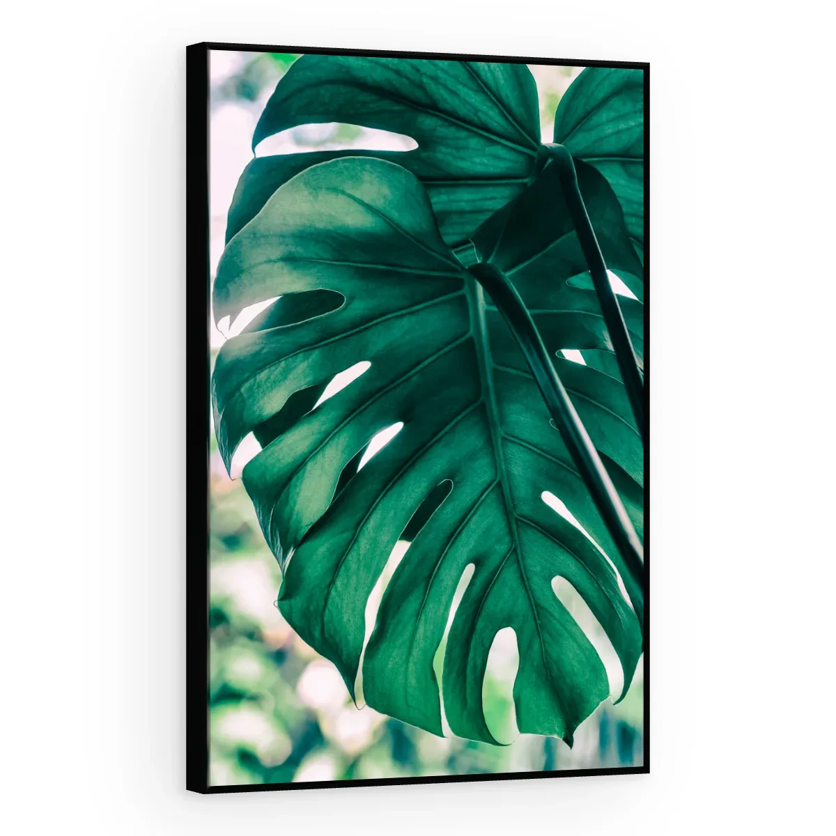 Quadro Decorativo Canvas Monstera Turquesa - FO0049