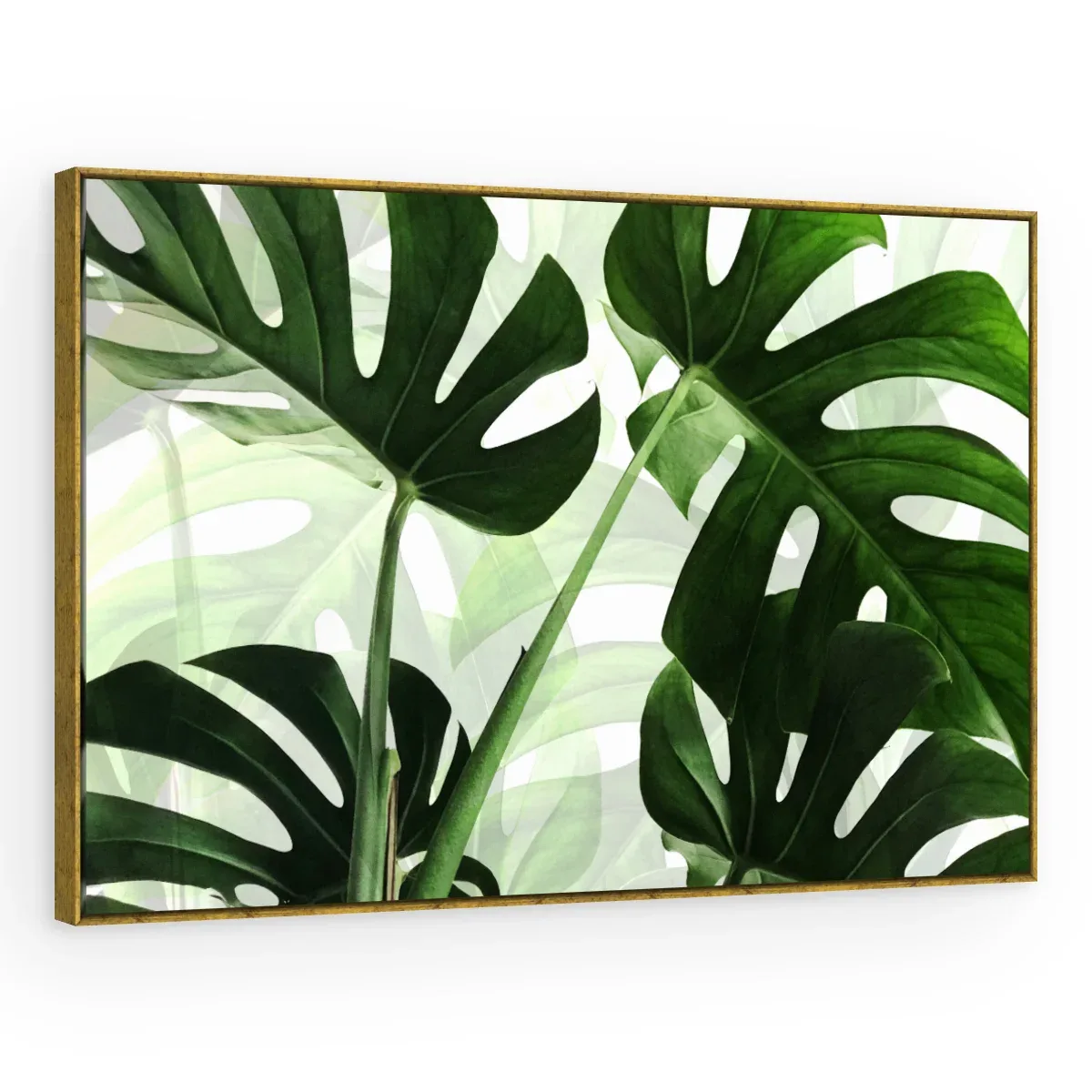 Quadro Decorativo Canvas Monstera Tropical - FO0051