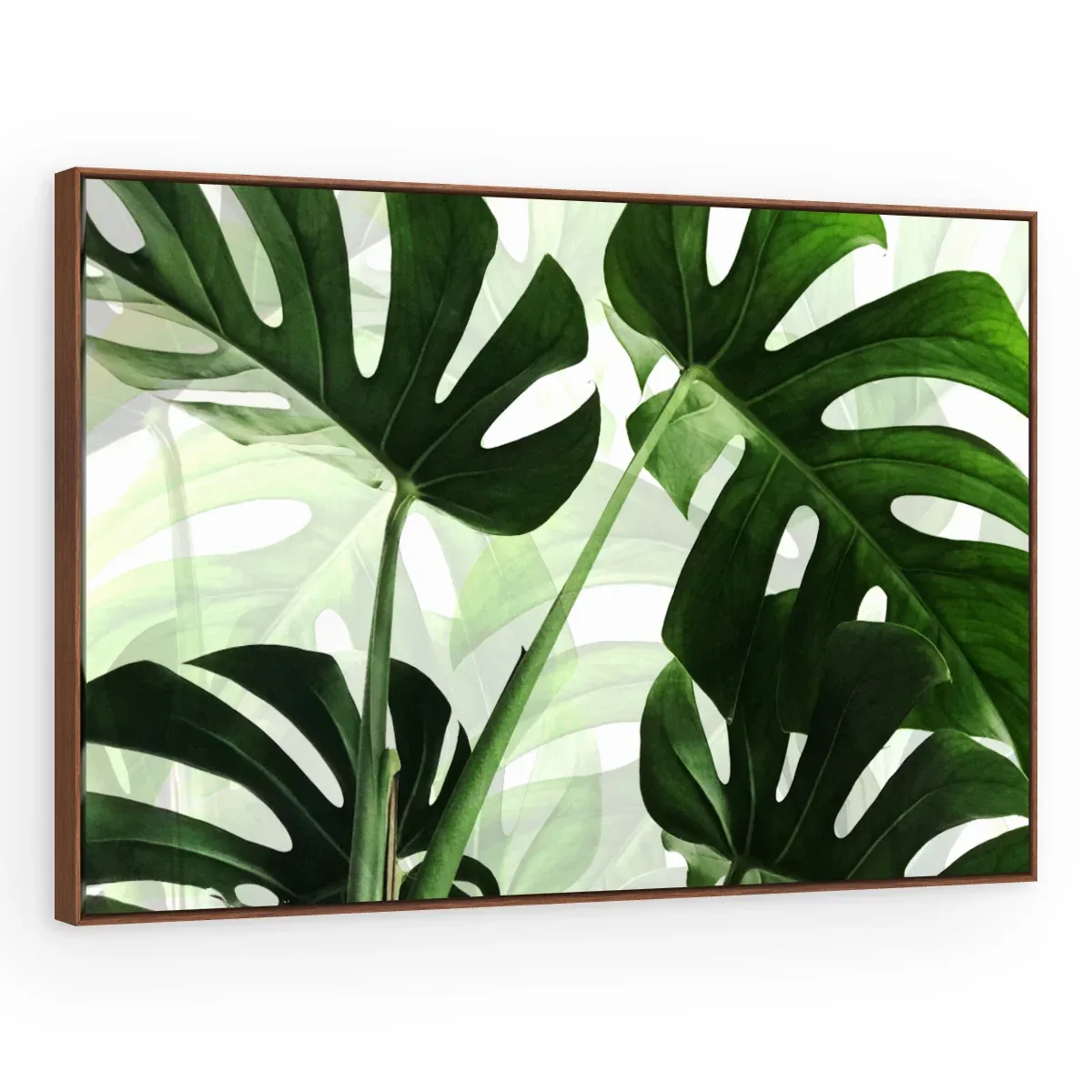 Quadro Decorativo Canvas Monstera Tropical - FO0051