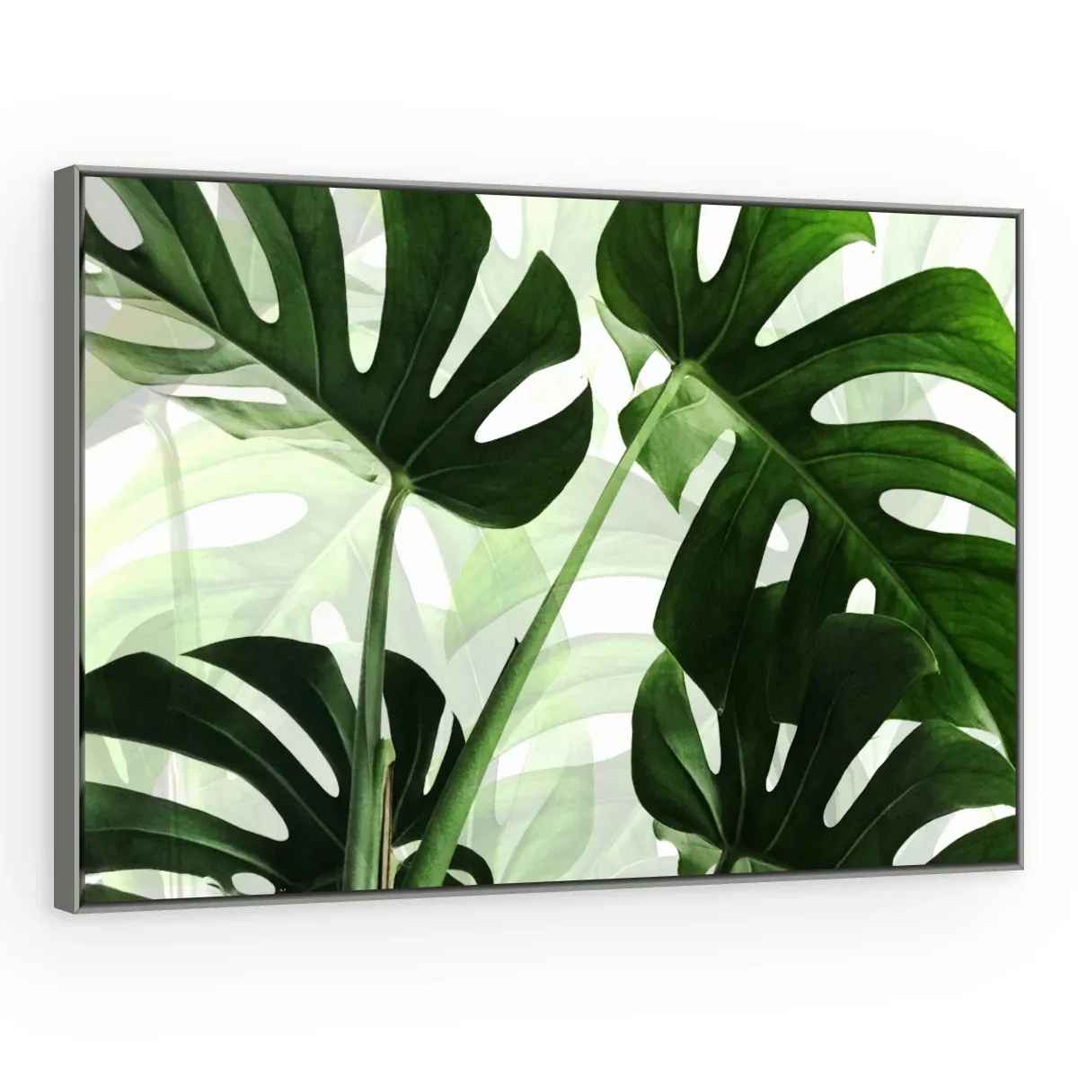 Quadro Decorativo Canvas Monstera Tropical - FO0051