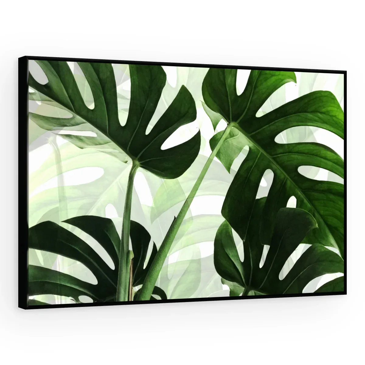 Quadro Decorativo Canvas Monstera Tropical - FO0051