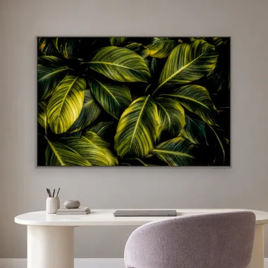 Quadro Decorativo Canvas Calathea Exuberante - FO0056