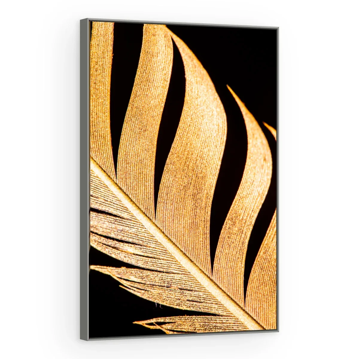 Quadro Decorativo Canvas Palma Reluzente - FO0057