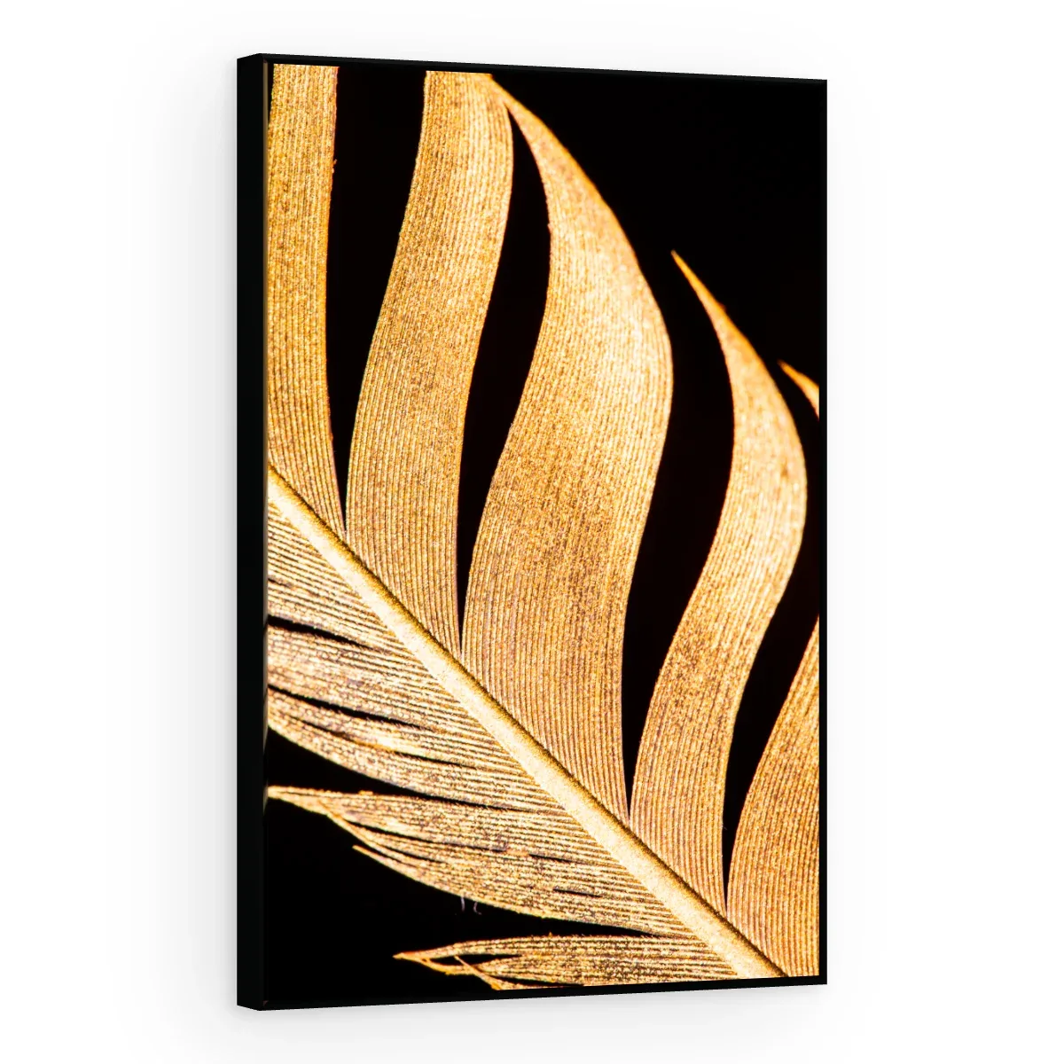 Quadro Decorativo Canvas Palma Reluzente - FO0057